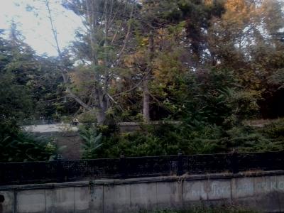 Прикрепленное изображение: 2014-10-13 18.25.33.jpg